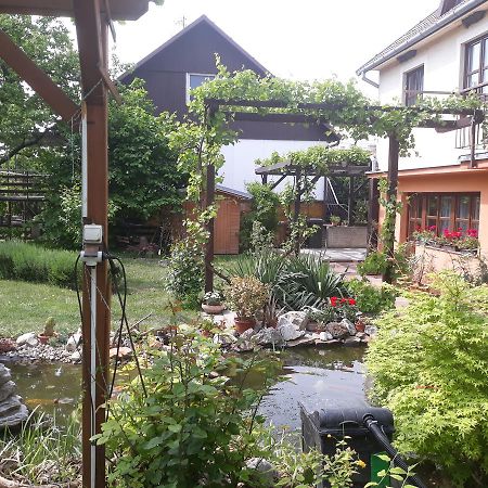 Pension Zeleny Strom Mikulov Exterior photo