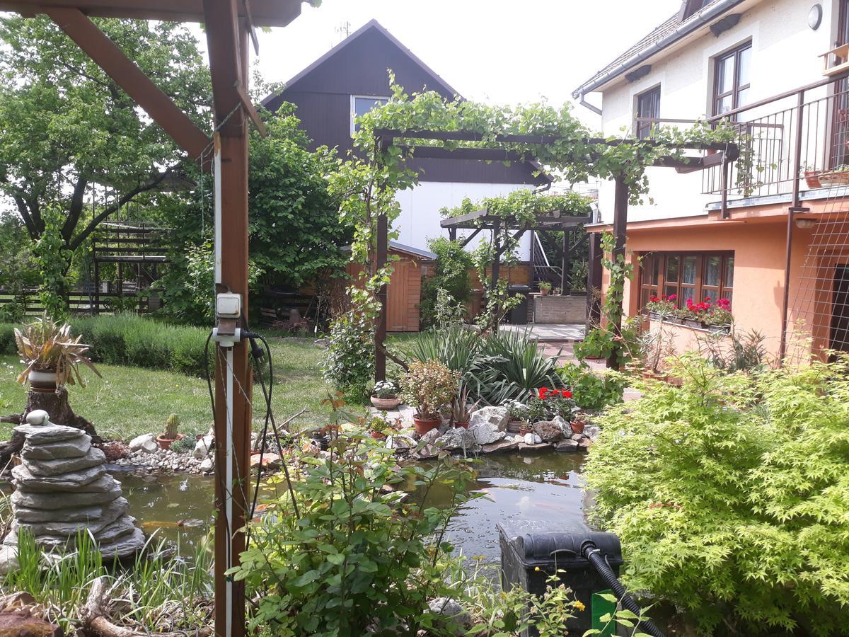 Pension Zeleny Strom Mikulov Exterior photo